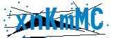 recaptcha